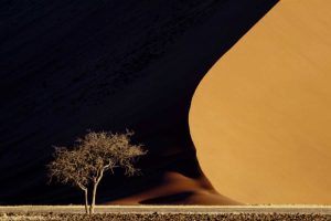 Namibia, Namib-Naukluft Park Red sand dunes